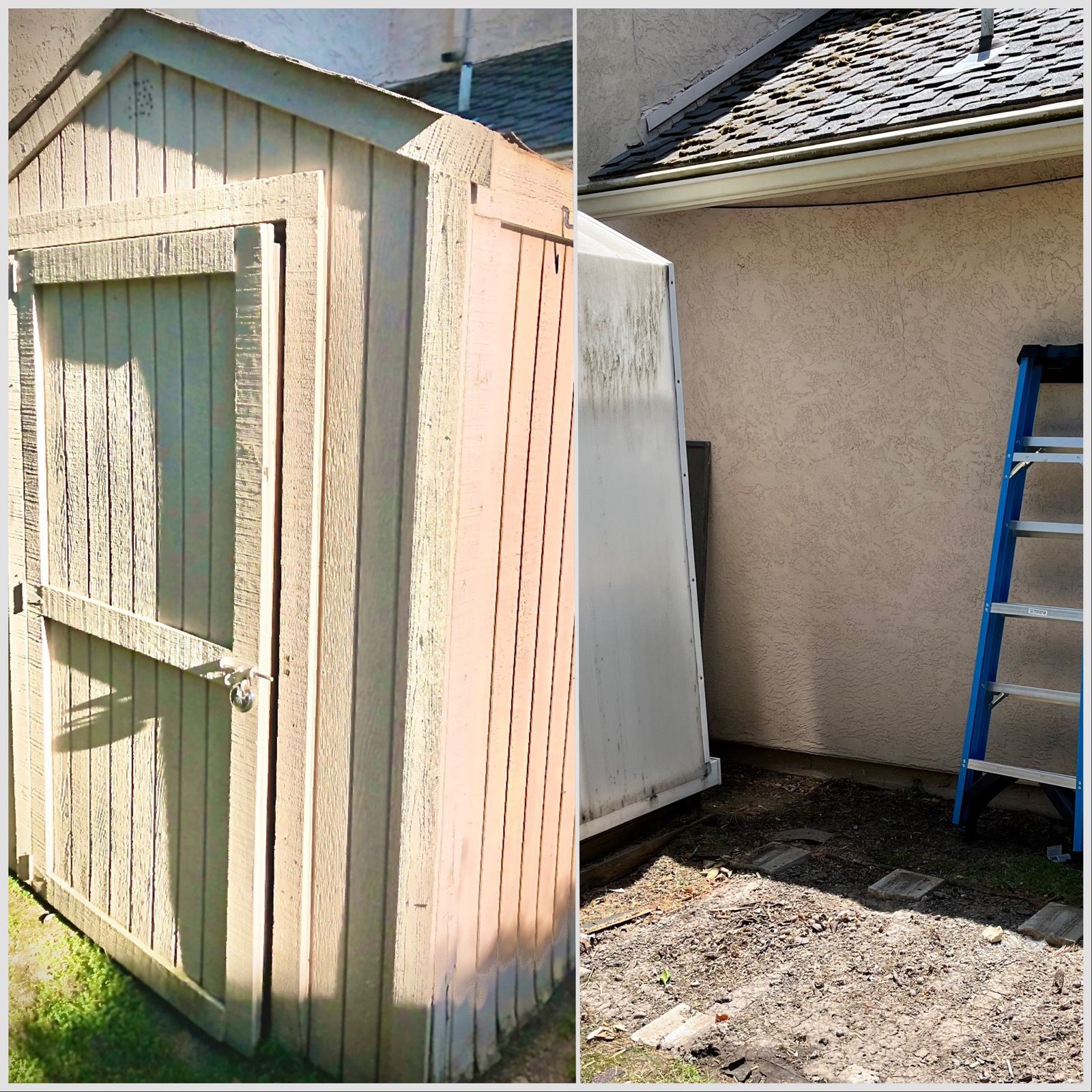 WhatsApp Image 2025-12-25 at 1.56.11 AM (1)